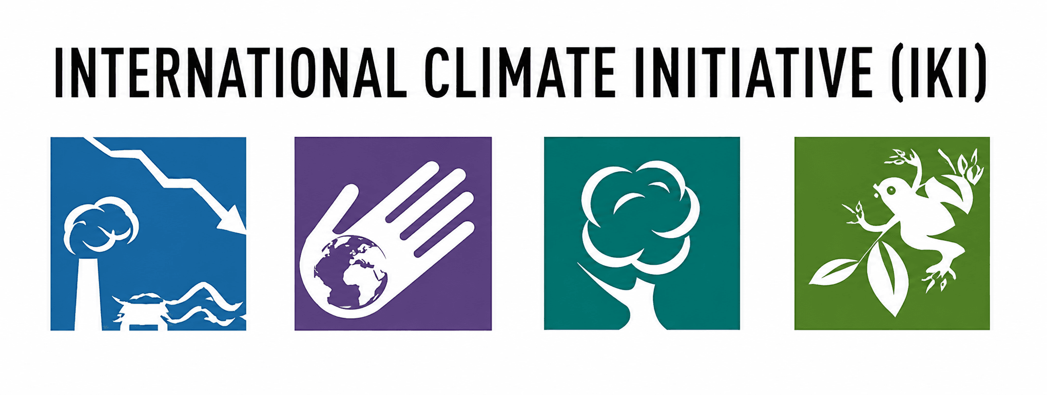 Logo de International Climate Initiative