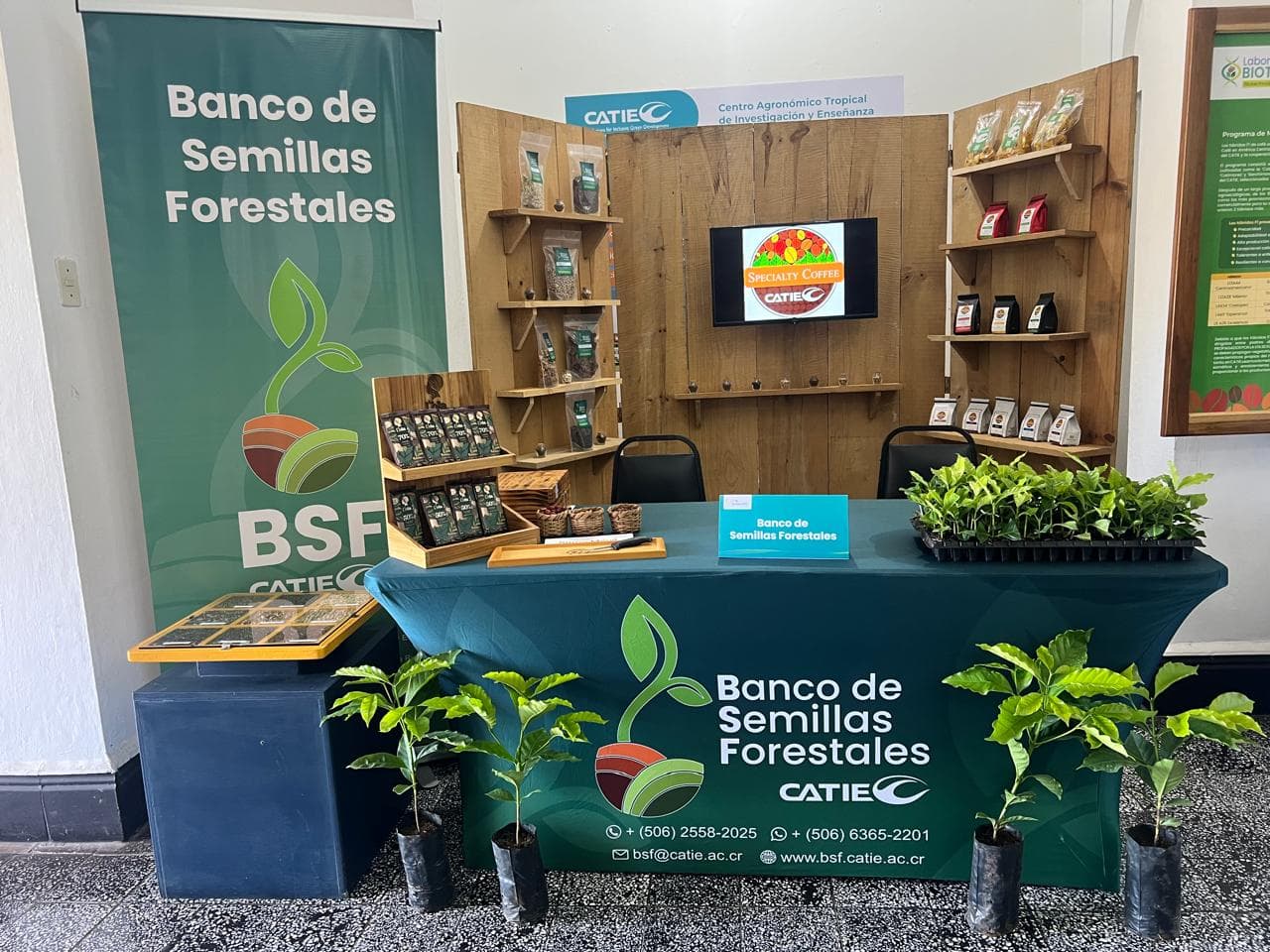 Asesoría técnica