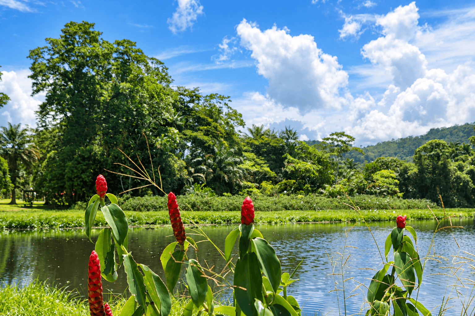 Jardín Botánico