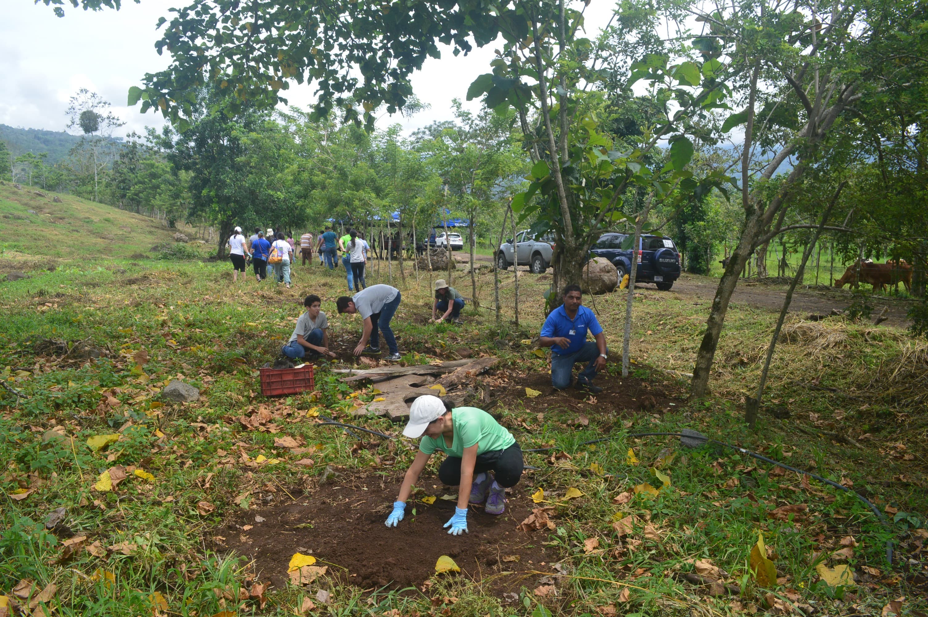 Estudiantes del CATIE en una actividad de la finca