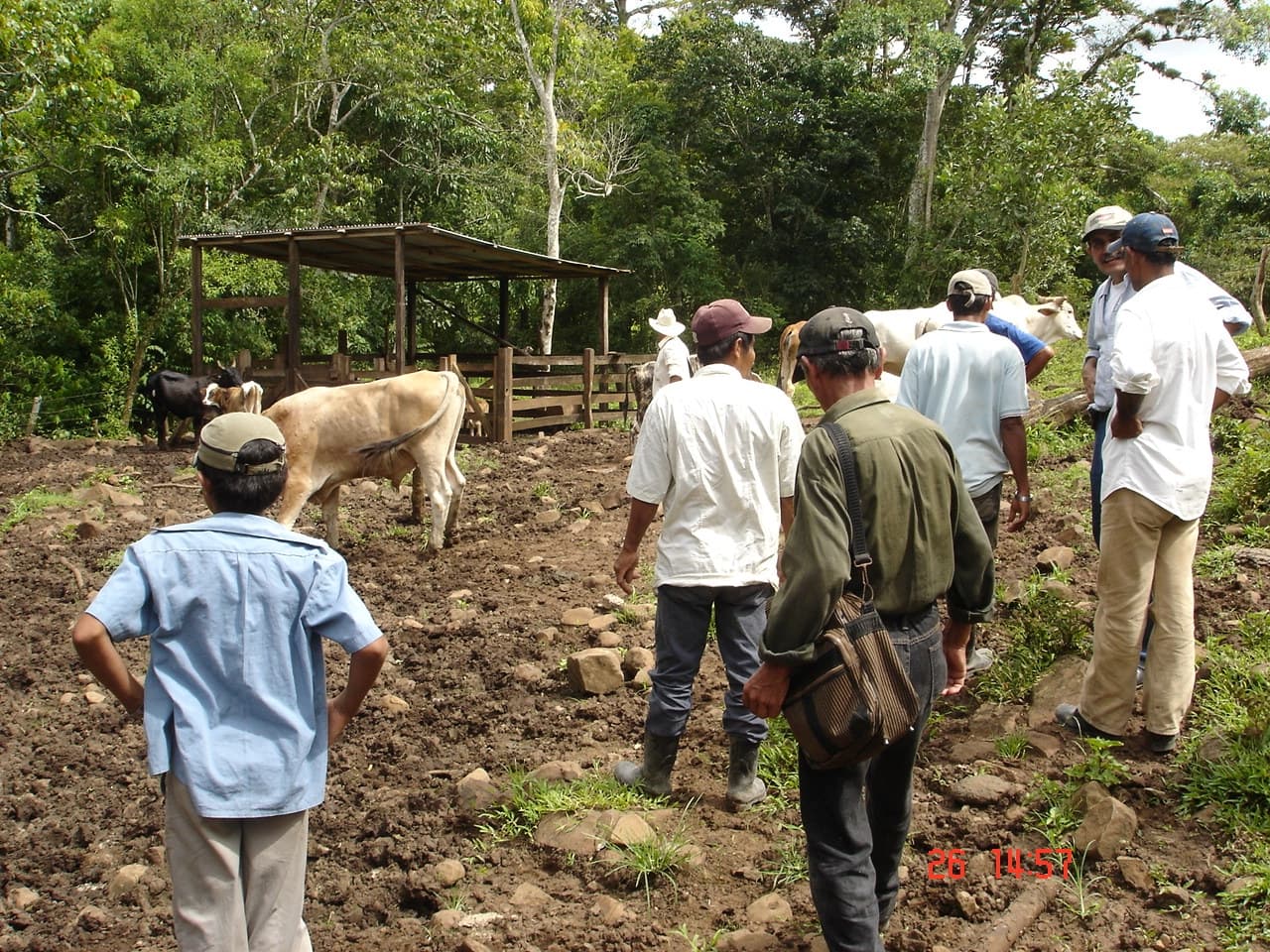 Estudiantes externos visitando la finca