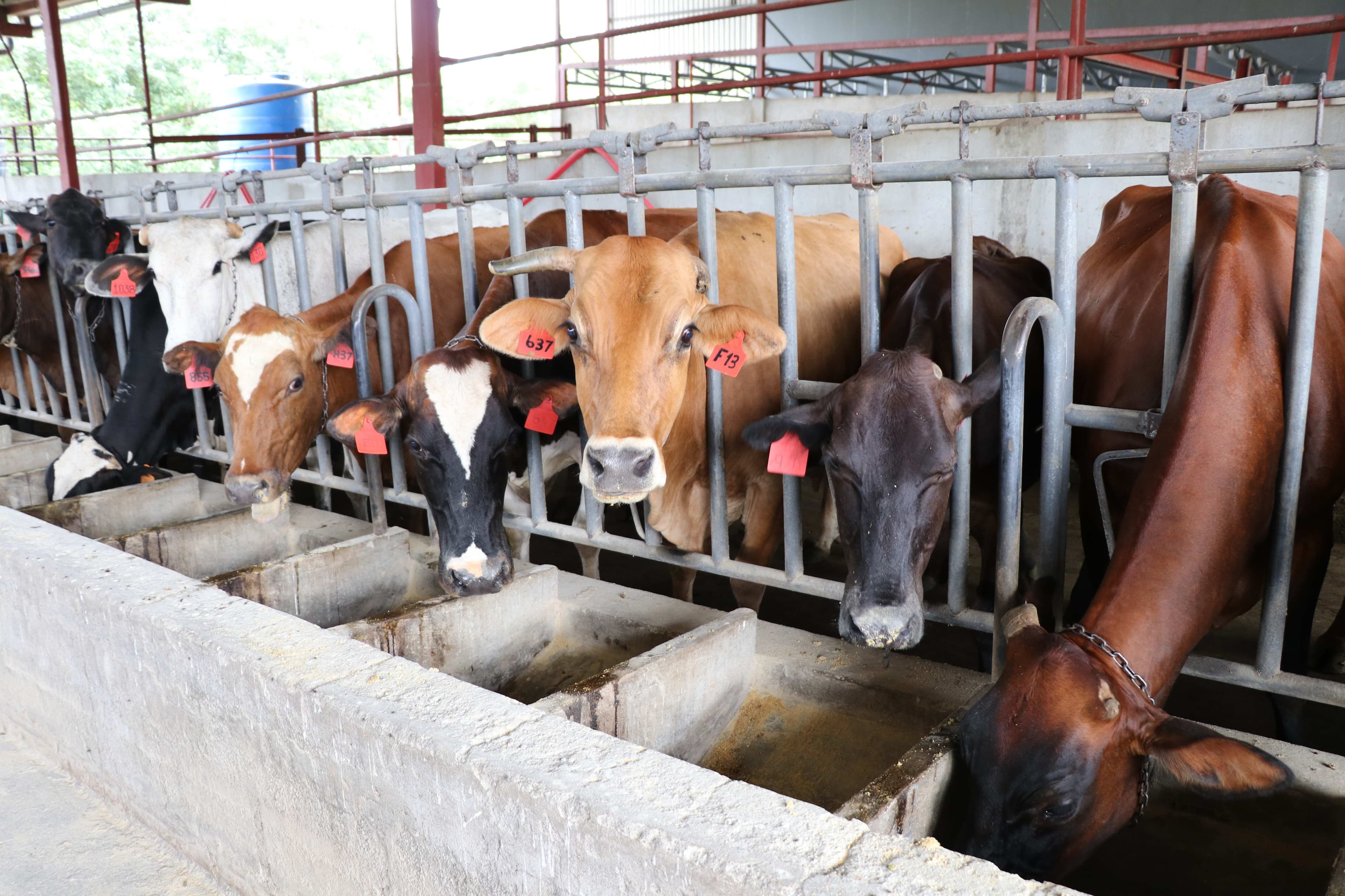 Productores visitando la finca