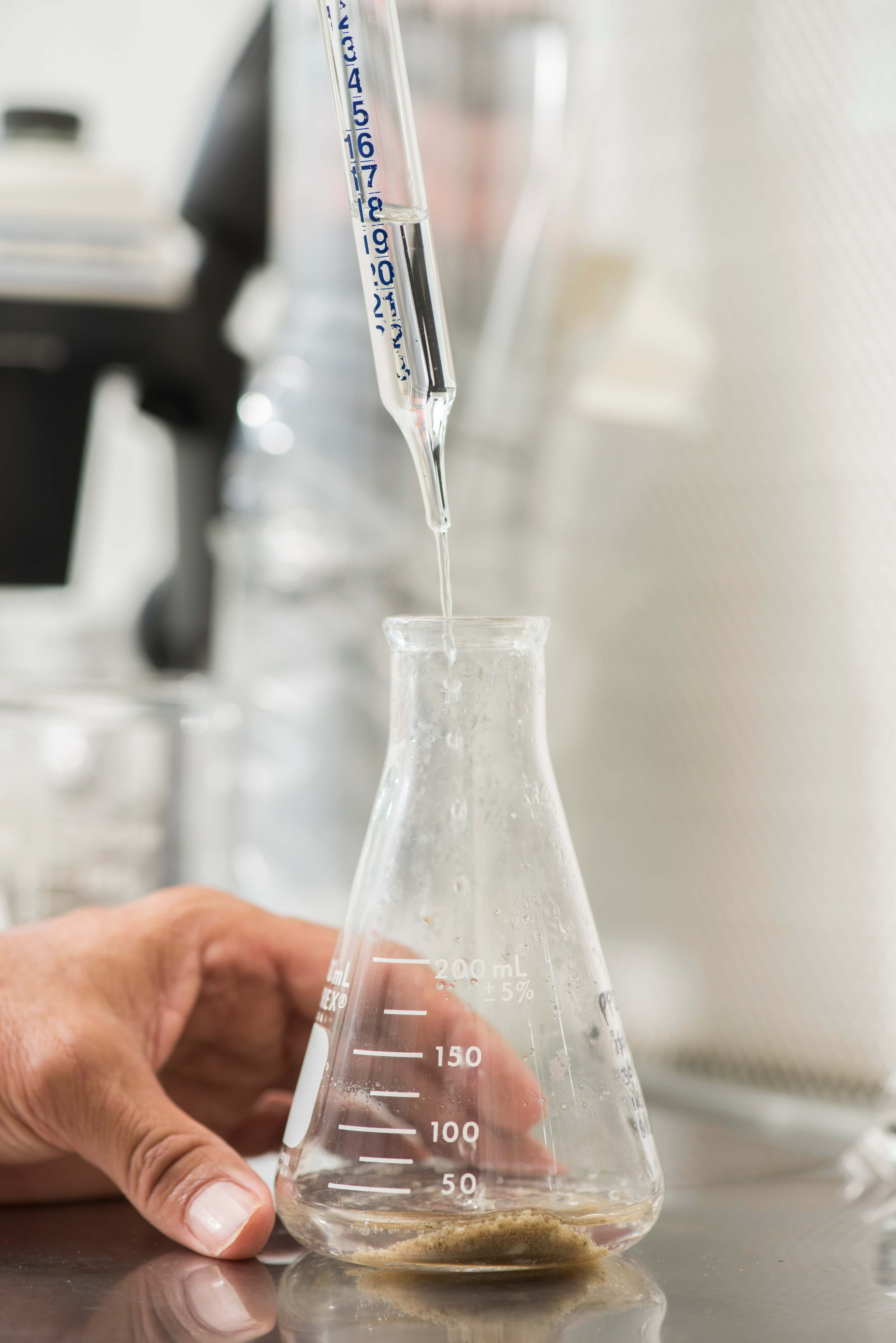 Imagen relacionada con Desarrollo de protocolos de micropropagación en diferentes especies.