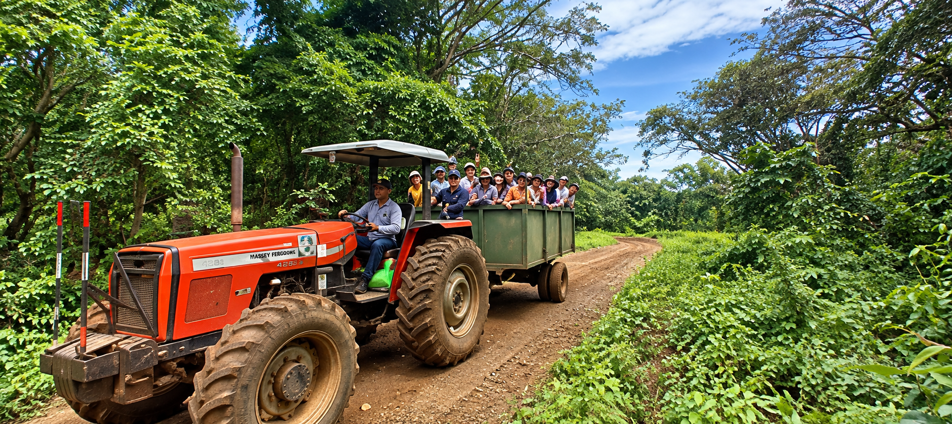 Grupo de estudiantes recorriendo el bosque en tractor