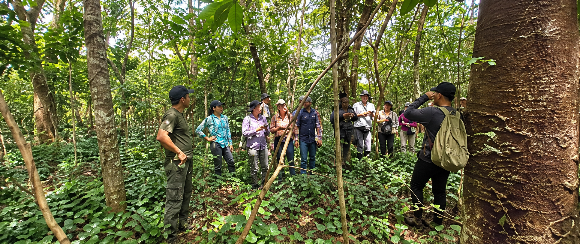 Grupo de estudiantes explorando un bosque tropical